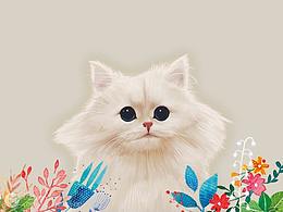 猫咪
