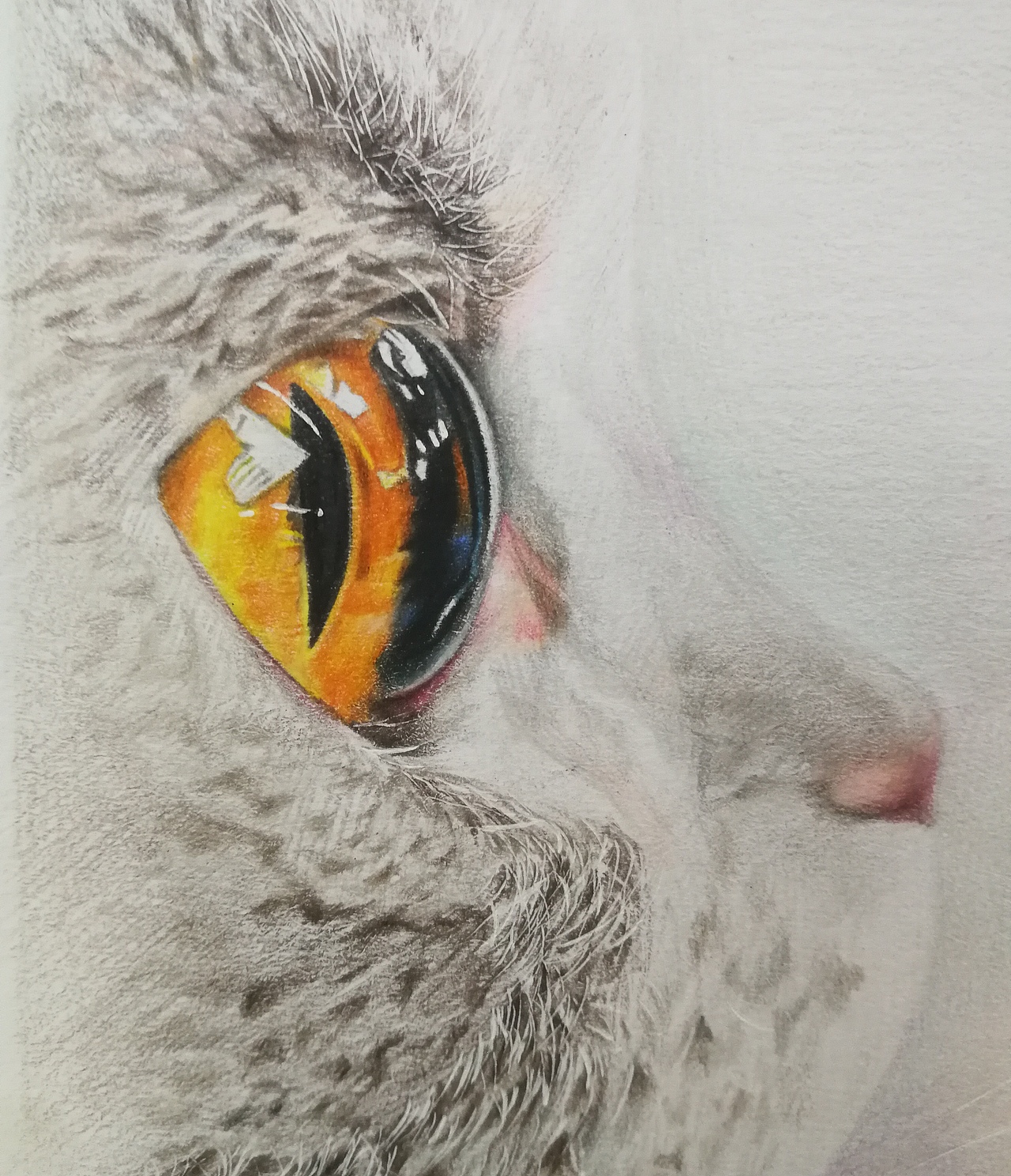 猫咪的眼睛里有星辰大海（图ZMTg3NDIwMzEy） - 绘画 - 站酷设计师一一一DOUBLE原创素材 - 站酷ZCOOL