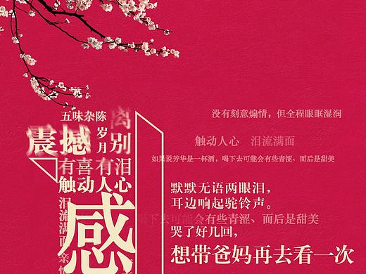 电影《芳华》破亿图海报1
