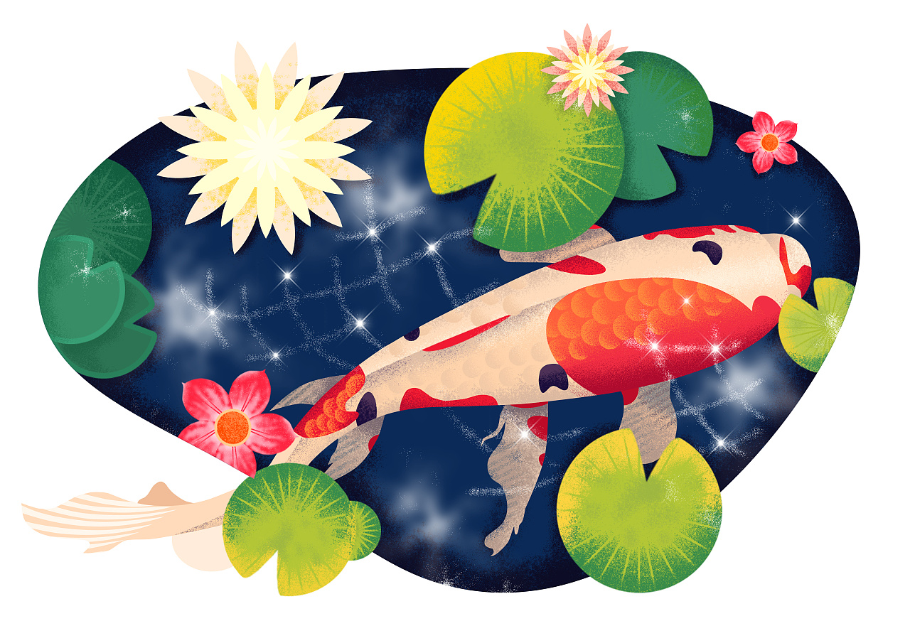 临摹练习—锦鲤|插画|其他插画|小惗 - 临摹作品 - 站酷 (zcool)