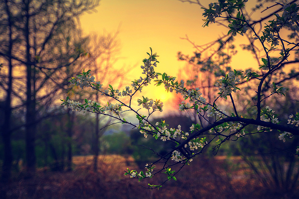 为自己的摄影(十二)