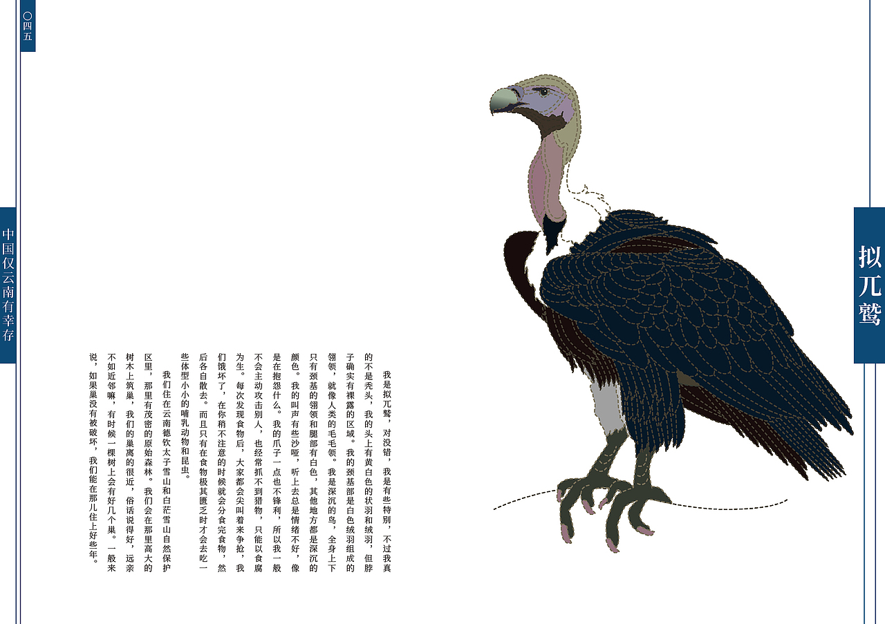 《假如我们会说话》70种中国珍贵野生动物书籍设计·二