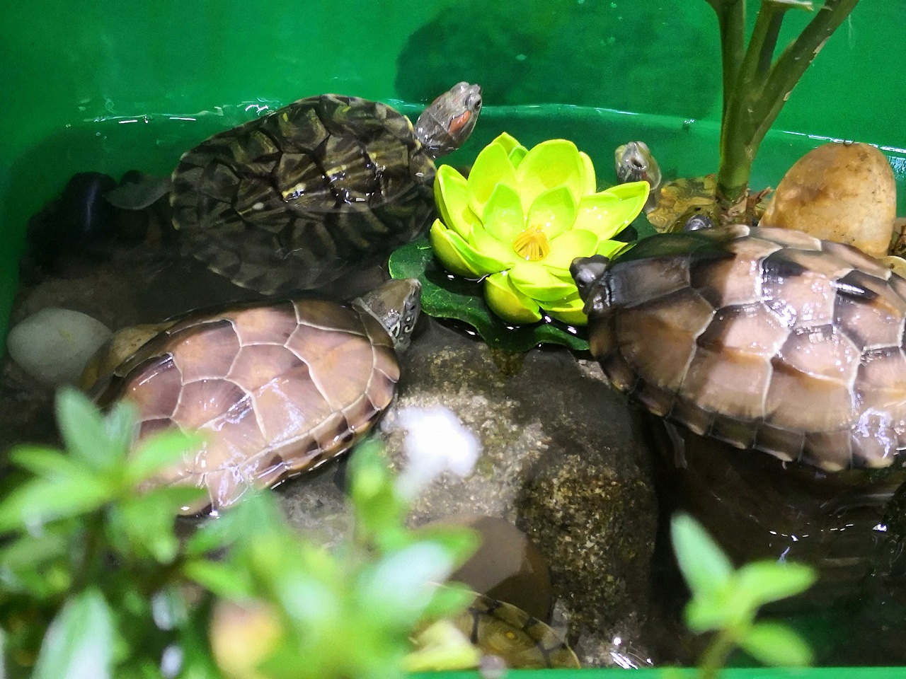 UDD喊你来踏个春 走起