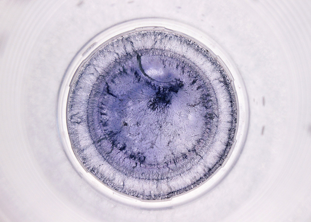 五颜六色（图ZMjAwNzMwNDEy） - 产品摄影 - 站酷设计师什么都不灰灰原创素材 - 站酷ZCOOL