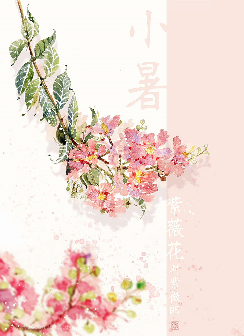 二十四节气花卉(未完待续)（图ZMTE3MzMzOTcy） - 商业插画 - 站酷设计师不语氏原创素材 - 站酷ZCOOL