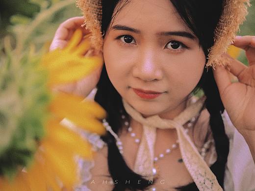 当太阳下山的时候，向日葵都在干什么呢