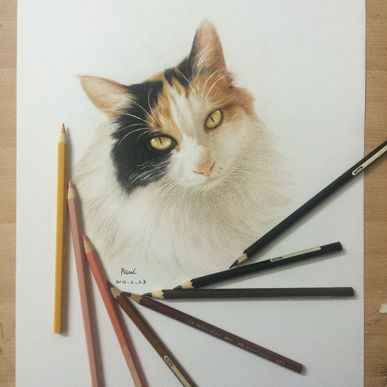彩铅素描猫