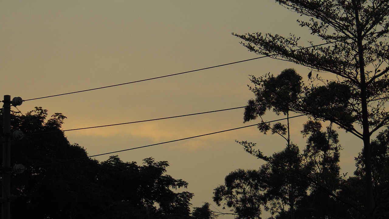 摄影2020..11.10(下)