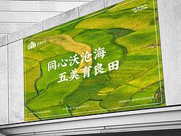 党群服务 为老社区