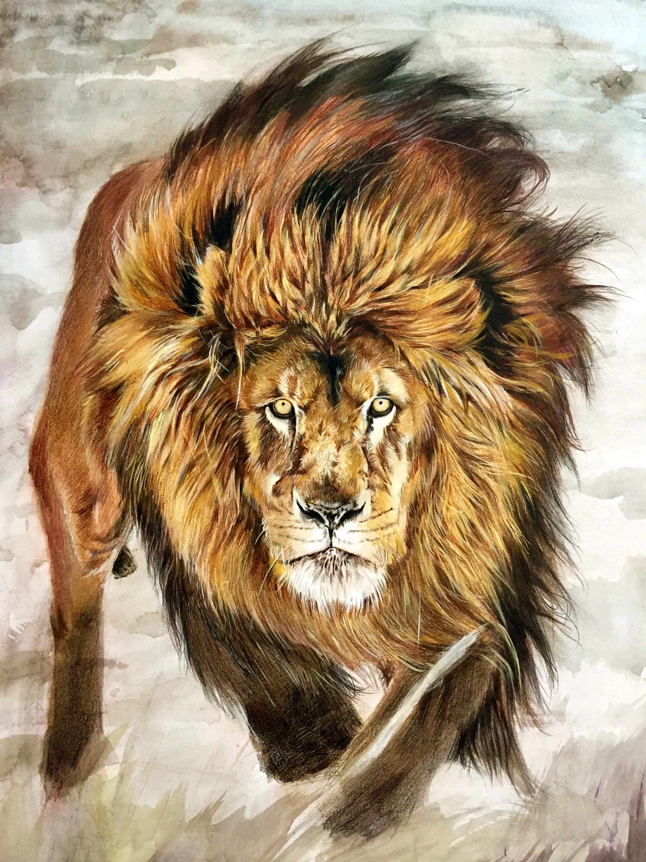 子小伟彩铅画《王者雄风》