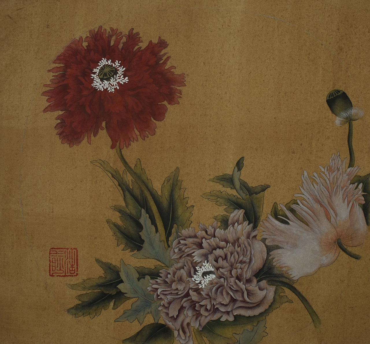 虞美人图 国画 工笔画（图ZMTk3NTAyMTYw） - 绘画 - 站酷设计师胡水水原创素材 - 站酷ZCOOL