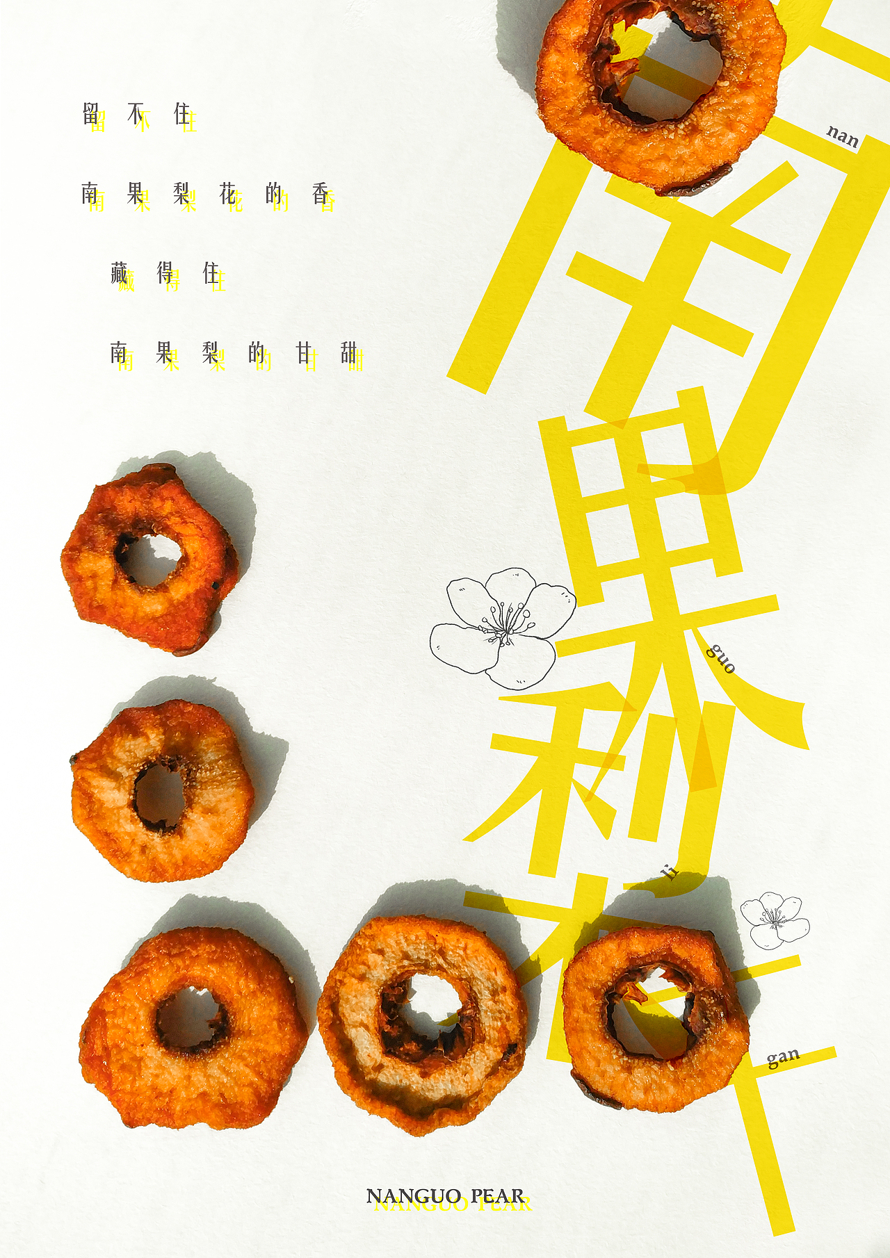 南果梨干宣传海报