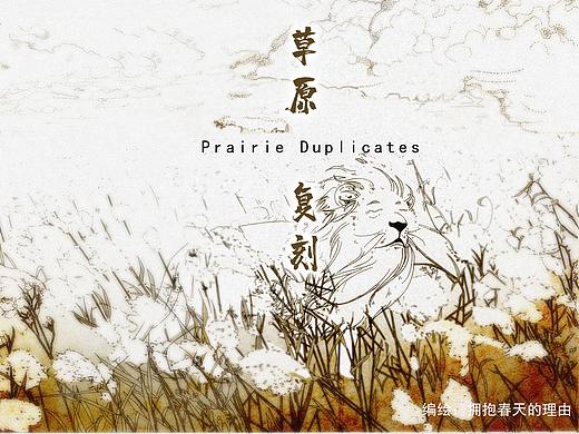 草原复刻