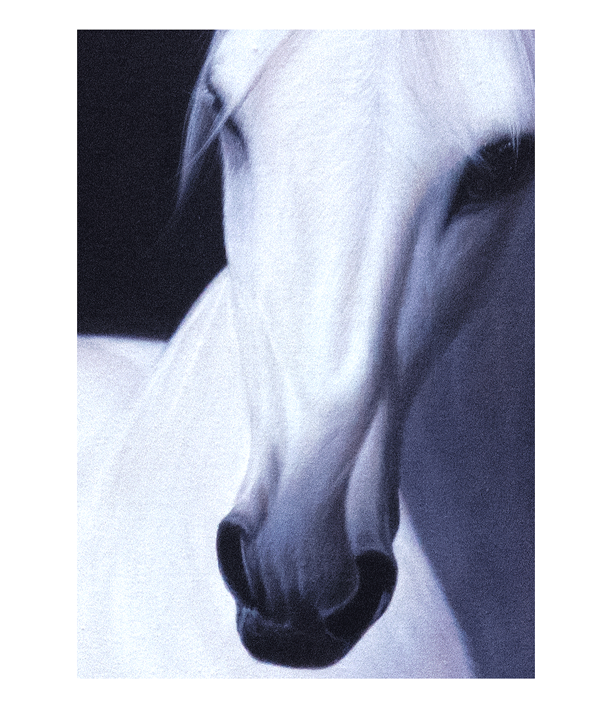 【圣墨尊宝】作品集-马-13（图ZMTQyMDY1NjIw） - 绘画 - 站酷设计师圣墨尊宝原创素材 - 站酷ZCOOL