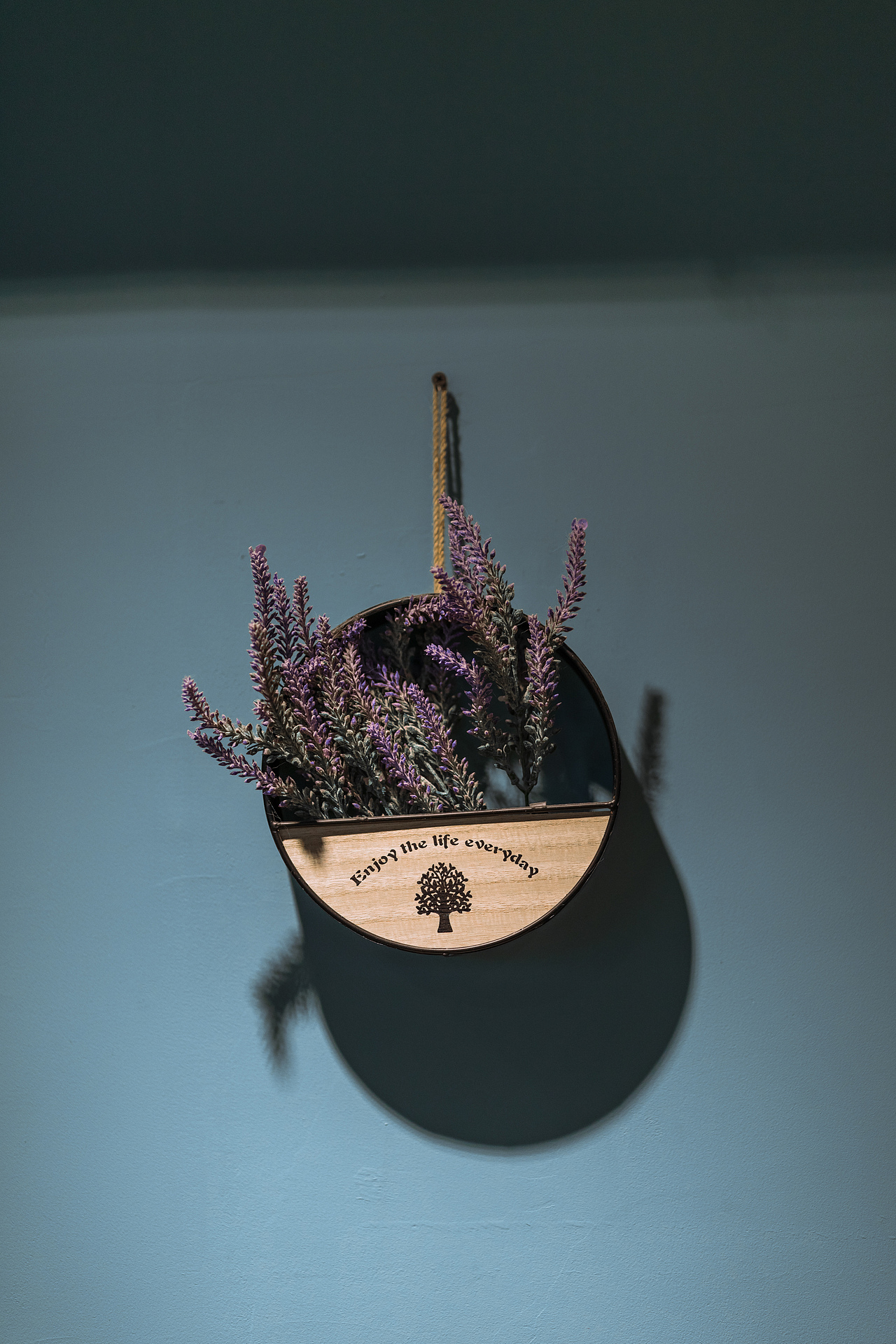 南京新街口猫咖静摄（图ZMTg1MDQ4MDY4） - 产品摄影 - 站酷设计师JingPacify原创素材 - 站酷ZCOOL