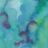 AKuo_的头像