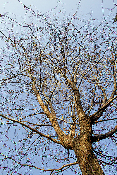 2013-12-01-老家晏城(第二弹)