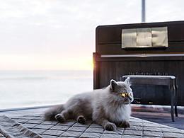 House by the sea 丨 海边的房子