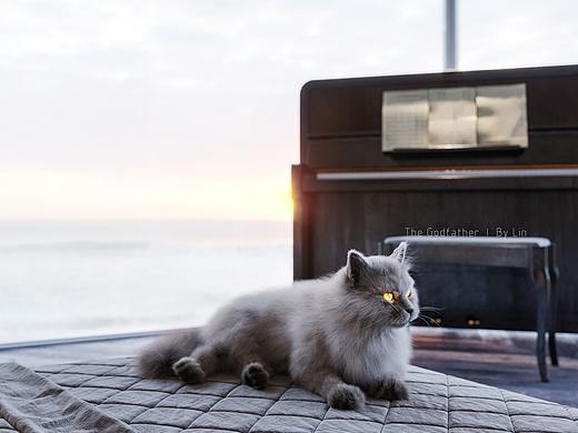 House by the sea 丨 海边的房子