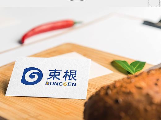 东根logo设计简易提案