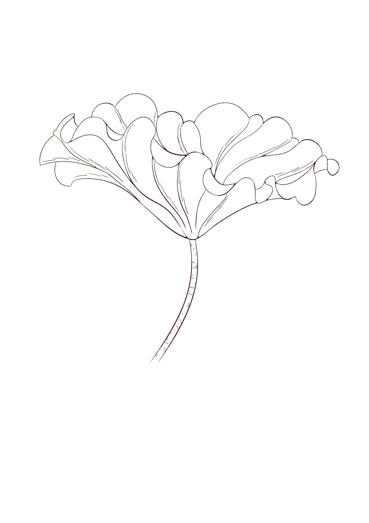 国风插画,元素练习