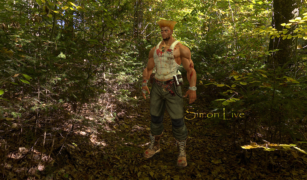 街霸角色八猴引擎渲染截图4(森林渲染)