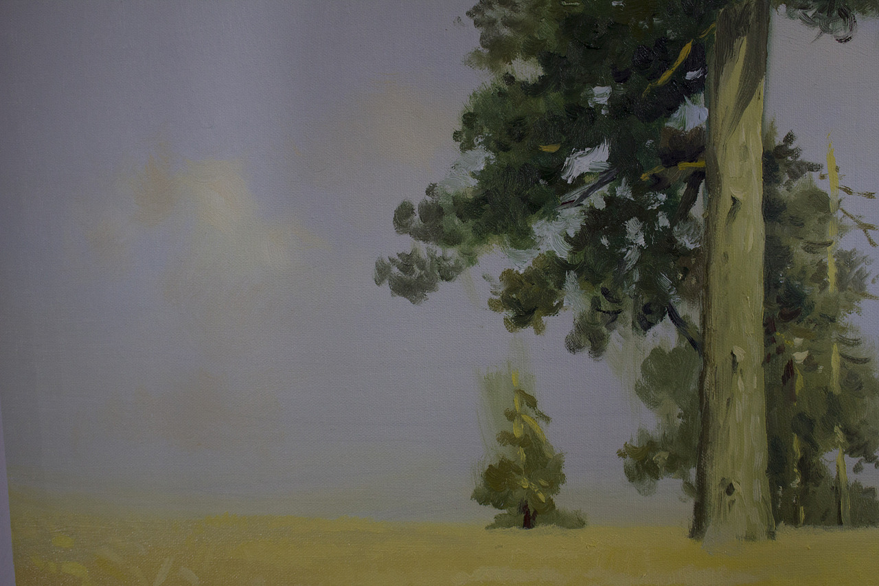 浅临希施金油画