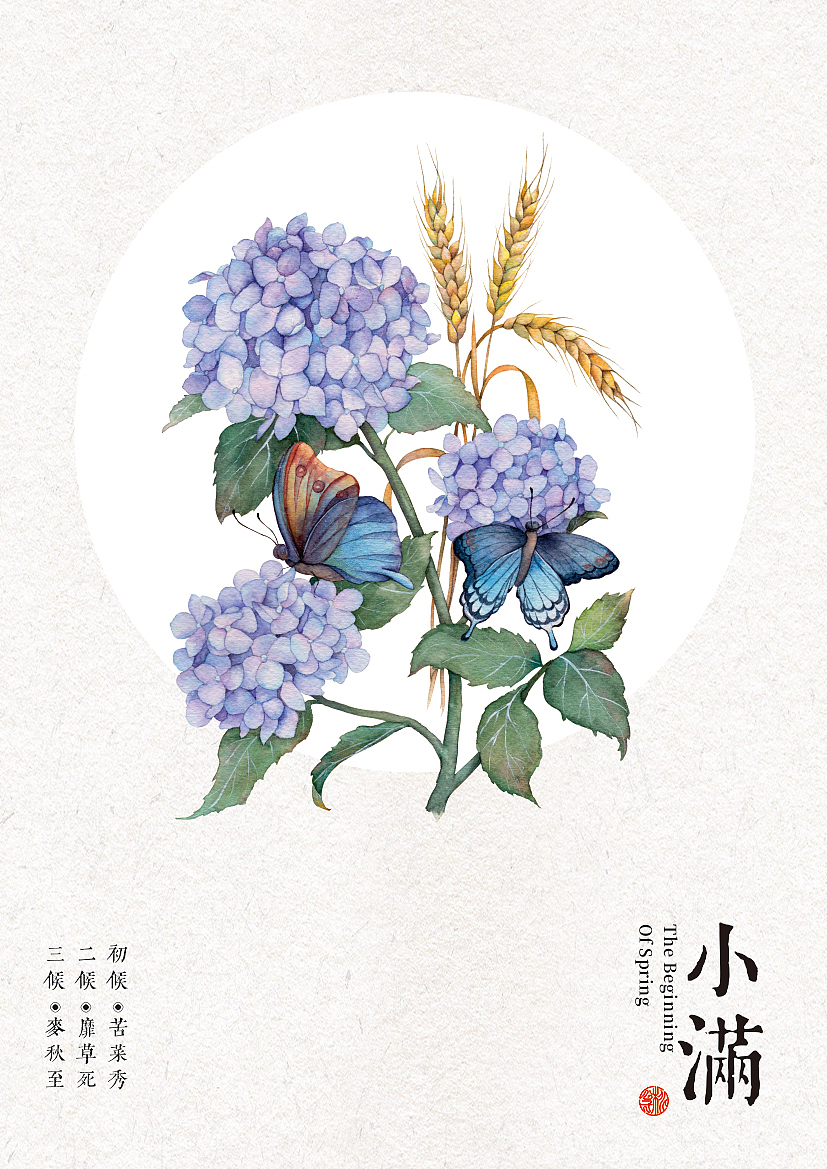 二十四时花物志（图ZMjI2NTg5NTU2） - 艺术插画 - 站酷设计师桃乙原创素材 - 站酷ZCOOL
