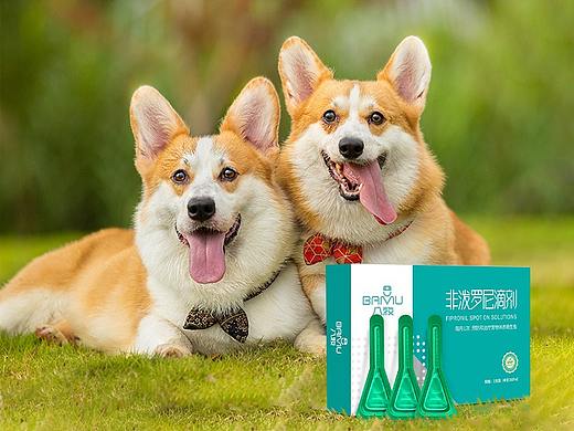 宠物类猫咪狗狗驱虫药品详情页优化爆款