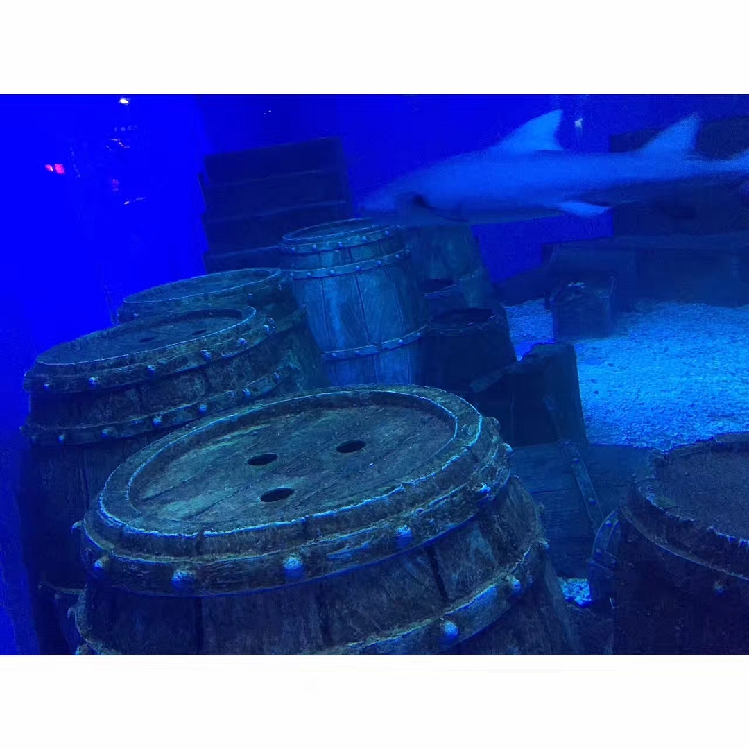 「水生物超有爱」（图ZMTAzNTQwMjI0） - 宠物摄影 - 站酷设计师王小刁不刁原创素材 - 站酷ZCOOL