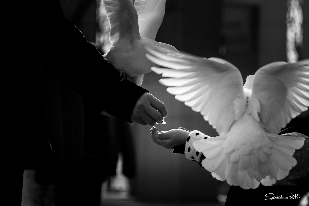 【人文篇】虛心求教，請(qǐng)老師指點(diǎn)-高手坐堂活動(dòng)參與作品（圖ZNDk2NTg3ODA=） - 人文/紀(jì)實(shí)攝影 - 站酷設(shè)計(jì)師丶三叔原創(chuàng)素材 - 站酷ZCOOL