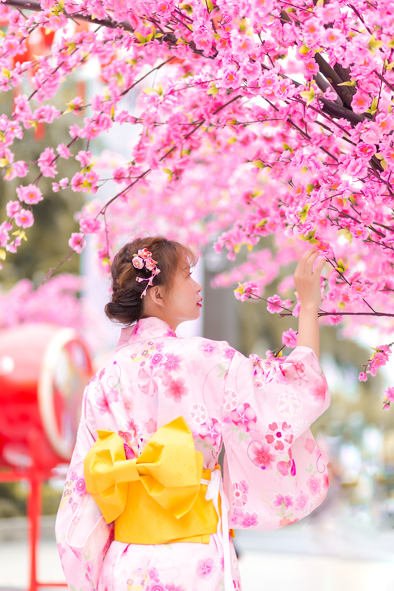 哇 !好美的樱花