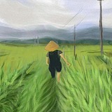 请回答2014的头像