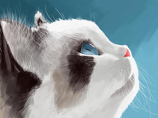 动物插画