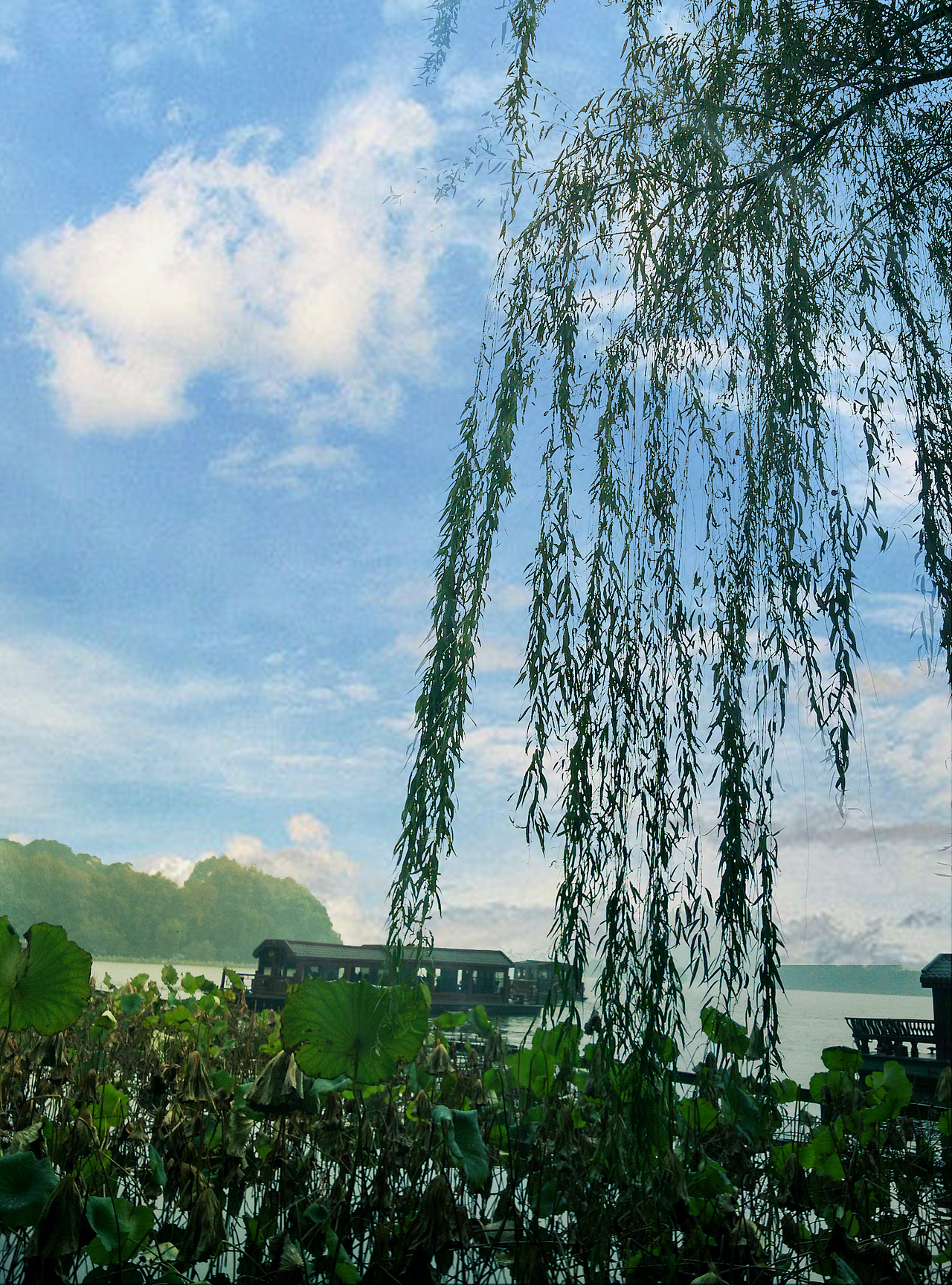 忆江南（图ZMzg4MDgyMjA=） - 风光摄影 - 站酷设计师VEGAS华原创素材 - 站酷ZCOOL