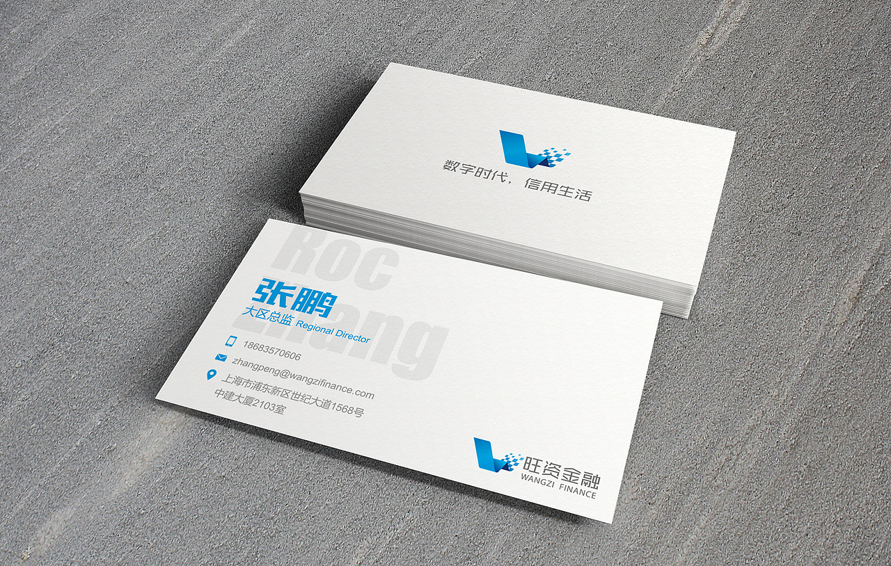 科技金融公司VI