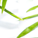 一个圆圆的头像
