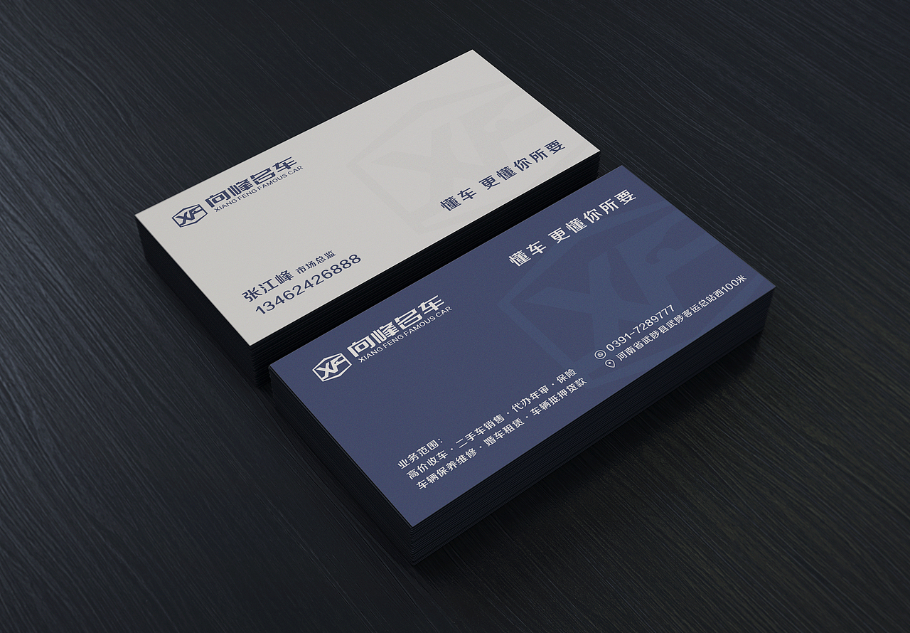 向峰名车品牌vi系统