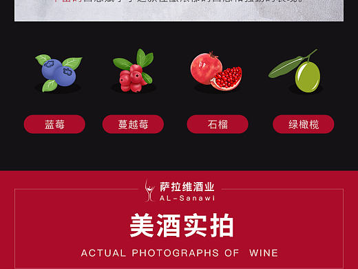 奔富红酒详情页