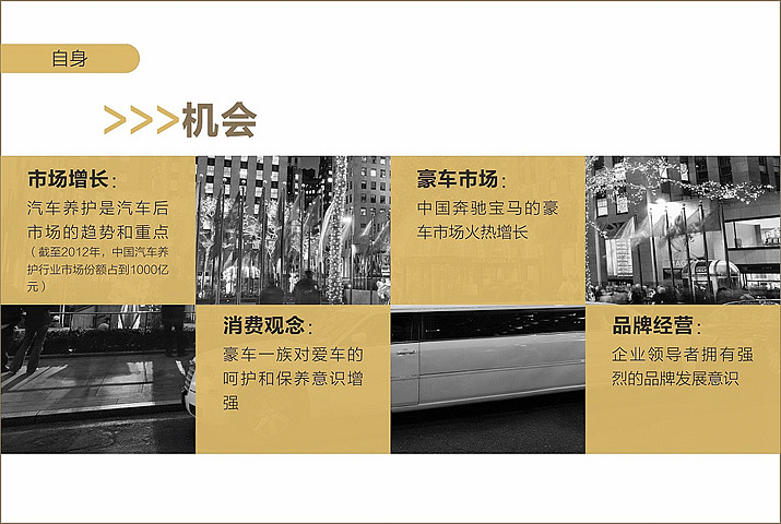 铂龙汇案例（峰尚品牌数字营销）