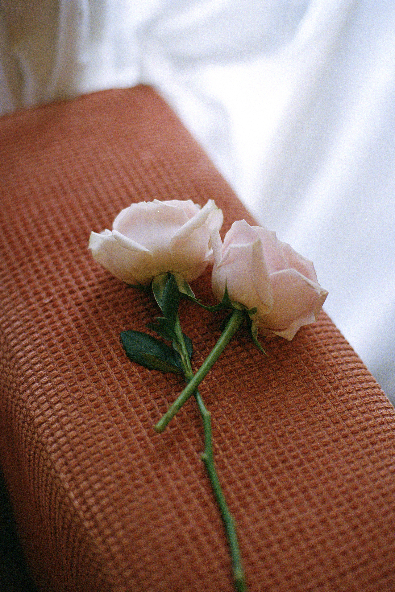 秋意渐渐微凉（图ZMjcxODE1ODc2） - 人像摄影 - 站酷设计师就爱喝西柚啊原创素材 - 站酷ZCOOL