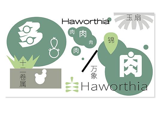 KV设计 | 植物品牌