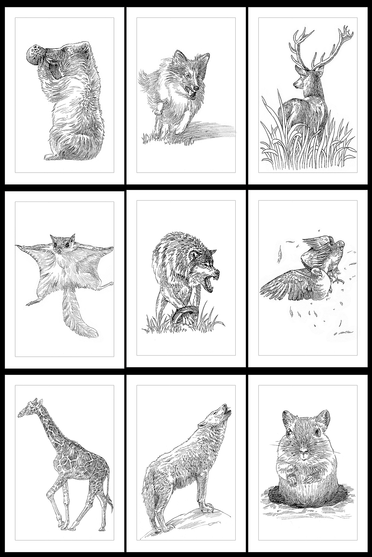 小幅动物插画（图ZMjE2NTk3ODAw） - 商业插画 - 站酷设计师半毫米原创素材 - 站酷ZCOOL