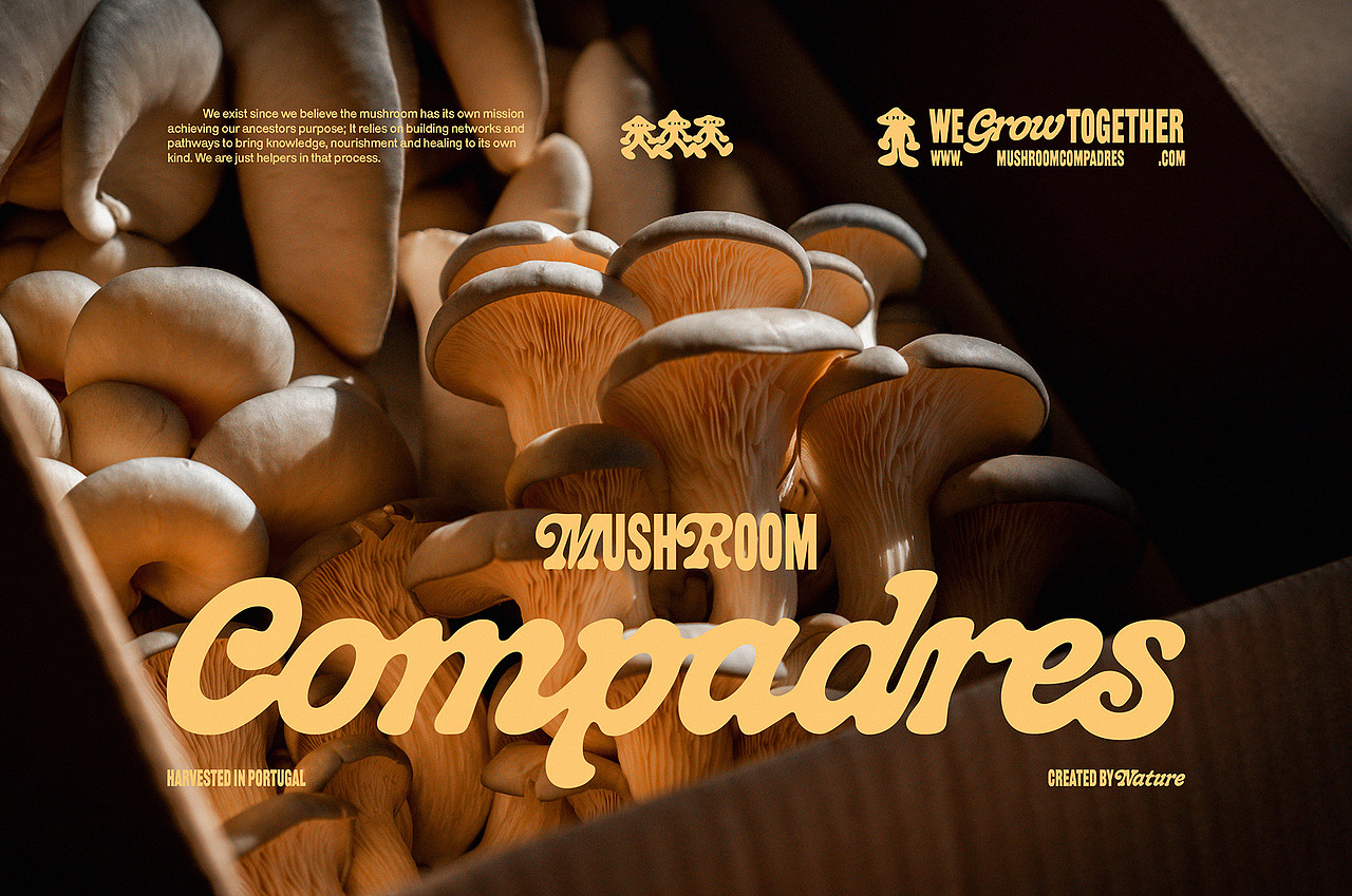 设计分享/Mushroom Compadres（图ZMzQwNTA3NzUy） - 品牌 - 站酷设计师BranD杂志原创素材 - 站酷ZCOOL