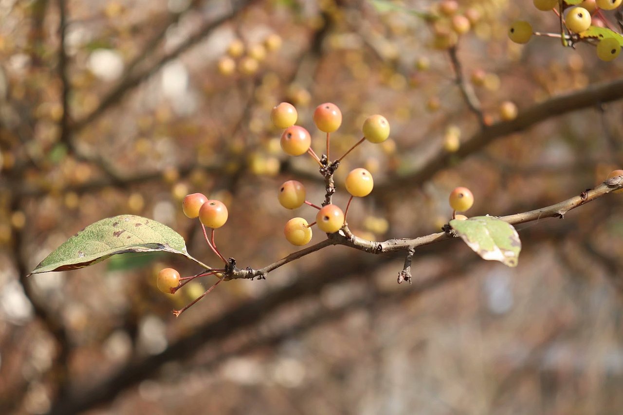 随手拍的风光（图ZMTgyMjE1NTgw） - 产品摄影 - 站酷设计师弗如Ru原创素材 - 站酷ZCOOL