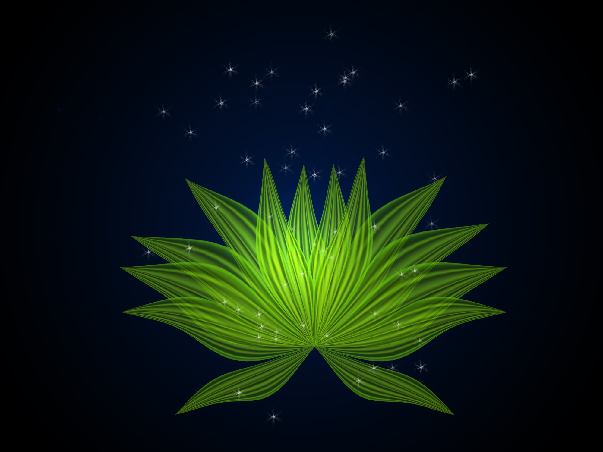 荧光花