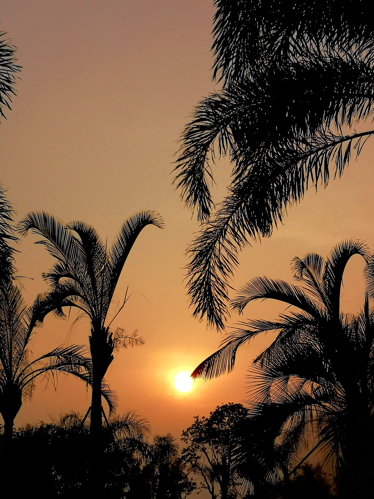 天空之境（二）——天空摄影手机摄影（图ZMTU5MDQ4MzEy） - 风光摄影 - 站酷设计师文二毛原创素材 - 站酷ZCOOL
