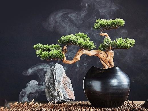 中式摆件松树盆景详情页