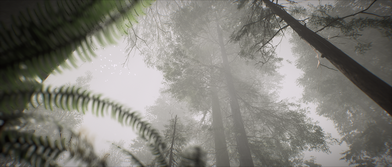 Misty Forest-Animation(图ZMjMwMTIwMzgw) - 动画/影视 - 站酷设计师ZixiIceyy原创素材 - 站酷ZCOOL