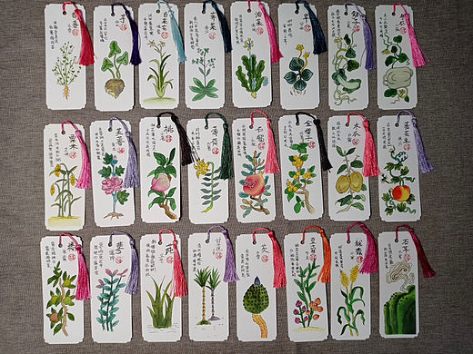 手绘水彩-二十四节气-植物